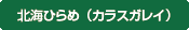 スキンレスフィレ(ノンドリップ真空包装)